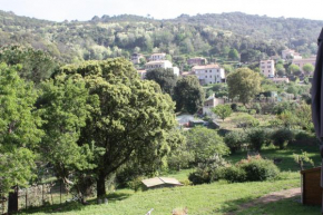 A CARDICCIA Loc saisonnières PIANA